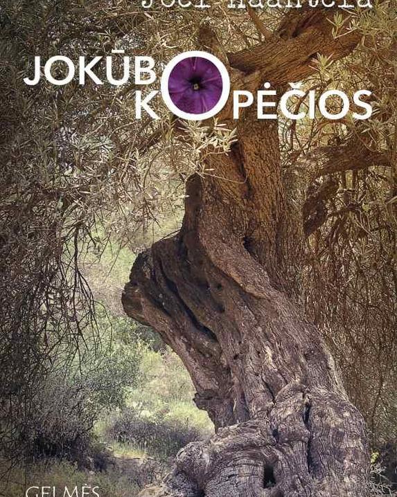 Jokūbo kopėčios