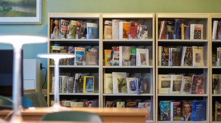Informacija dėl ankstesniųjų metų periodinių leidinių